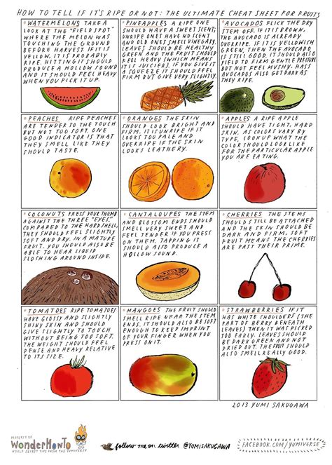 Ripe Fruit 1 Ripe Fruit Writing - Ripe Fruit Writing
