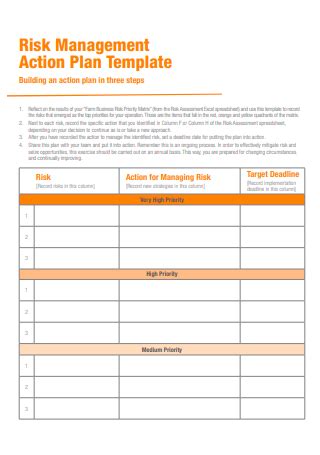 Risk Management Action Plan Sample Warehouse