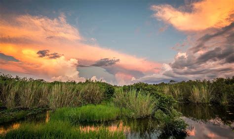 River Of Grass