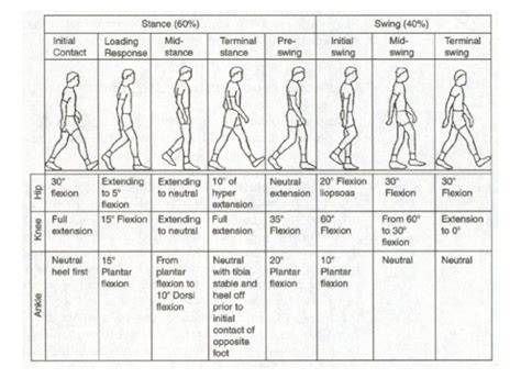 rivermead visual gait assessment