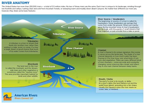 Rivers The Geographer Online River System Worksheet - River System Worksheet