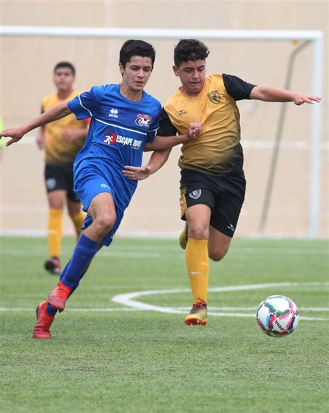 blackjack online: Apostando nas Melhores Apostas Desportivas Online com a Garantia de Segurança dos Fundos - Foto 2