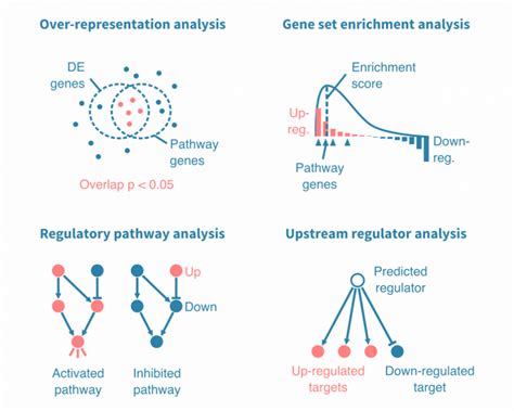 Rna Seq Data Analysis A Practical Approach Chapman Hallcrc Mathematical And Computational Biology