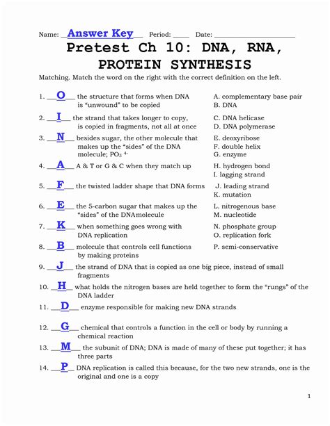 Read Rna And Protein Synthesis Answer Key Chapter 13 File Type Pdf 