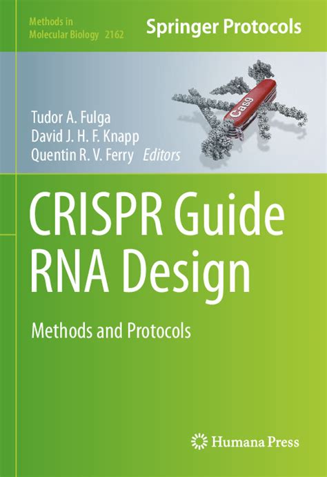 Full Download Rna Interference Editing And Modification Methods And Protocols 1St Edition 