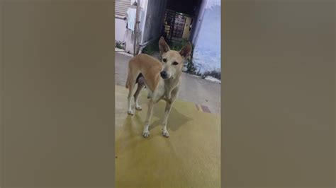 campobet: Aposte nas Melhores Apostas Desportivas Online e Fique Tranquilo com a Proteção de Fundos - Foto 2