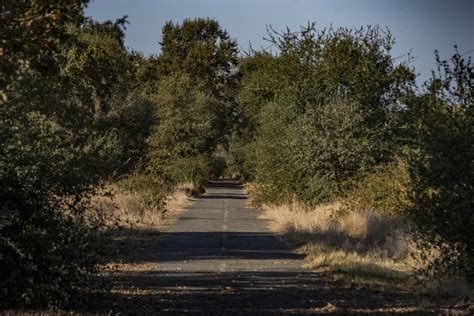 Road To Nowhere