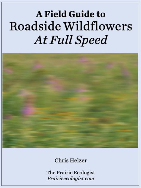 Roadside Wildflower Fieldguide