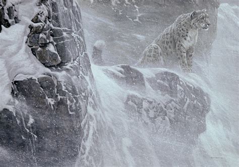robert bateman snow leopard