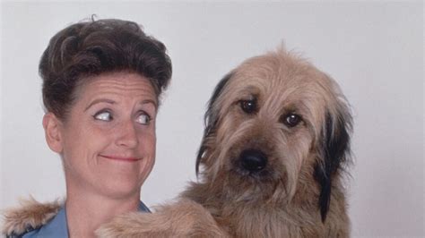 Robert Brady Dog