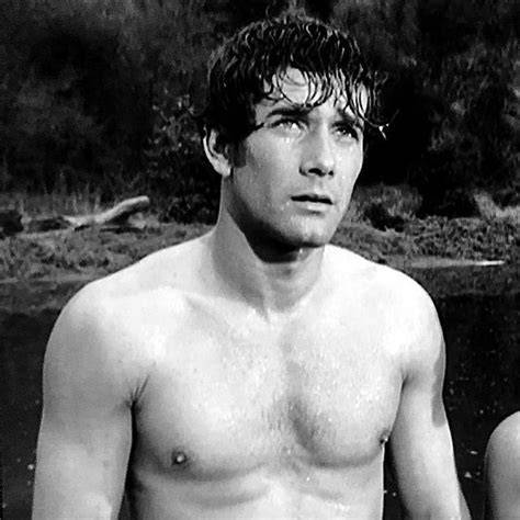 robert fuller nude