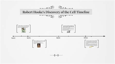 robert hooke timeline cell cycle