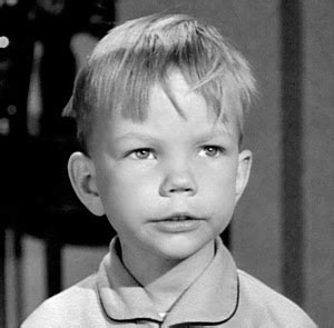 robert john pittman biography