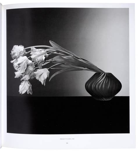 Robert Mapplethorpe