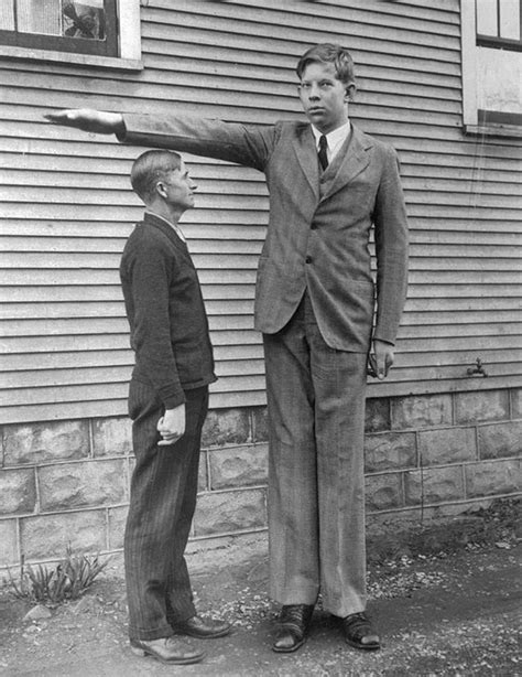 Robert P Wadlow