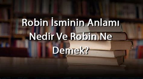 robin Nedir Ne Demek. 