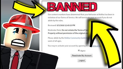 Roblox Support Banned