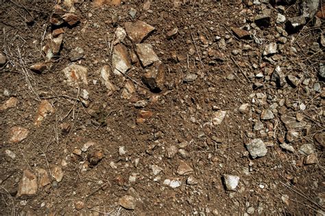 Rock And Soil