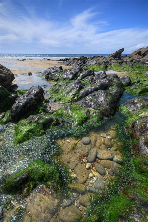 rock pool Cornish Rock Pools