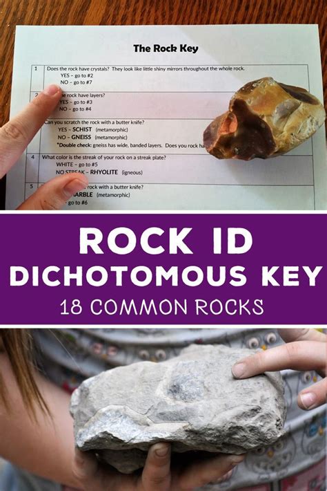 Full Download Rock Identification Activity Guides Dichotomous Keys 