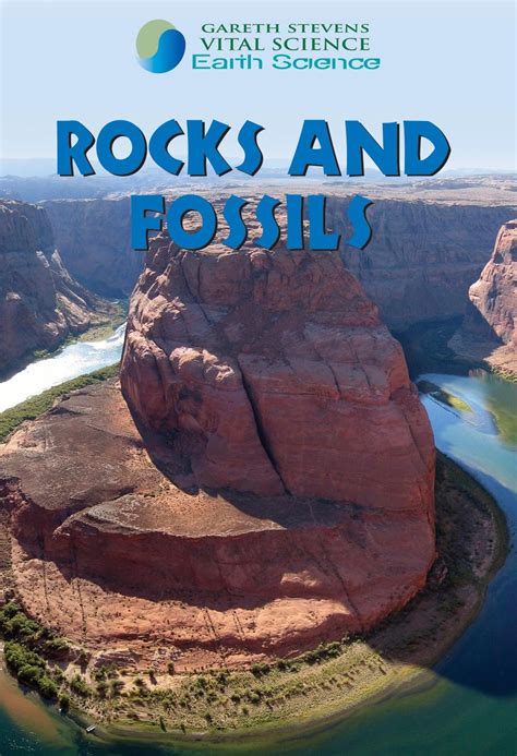 Download Rocks And Fossils Gareth Stevens Vital Science Earth Science 