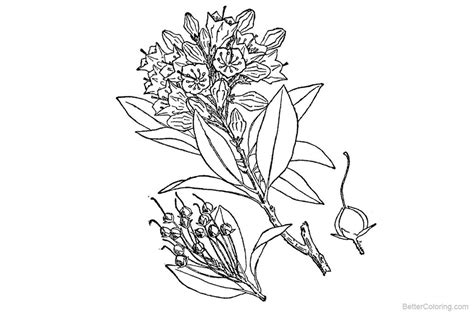 Rocky Mountain Plants Coloring Pages Rocky Mountains Coloring Page - Rocky Mountains Coloring Page