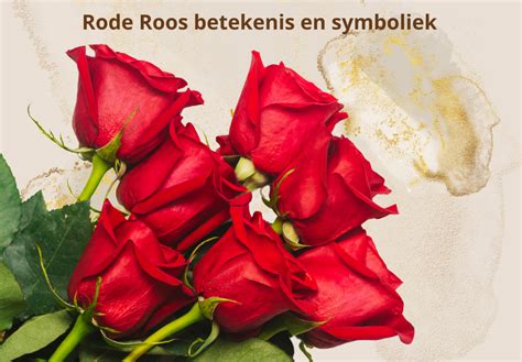 rode roos symbool