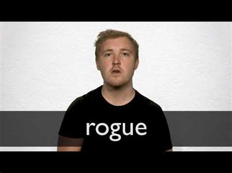 rogue meaning of word in spanish