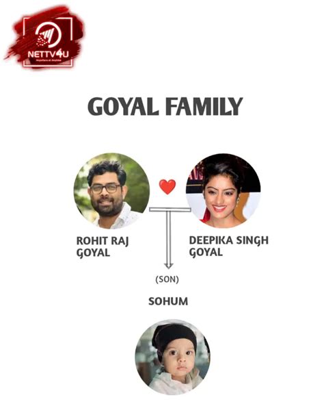 rohit raj goyal biography of michaels