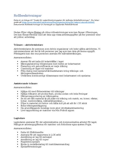 rollbeskrivning utvecklare