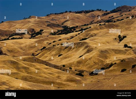 rolling california
