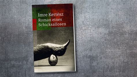 roman eines schicksallosen