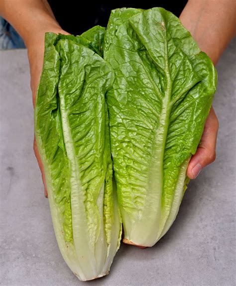 romanlettuce onlyfans