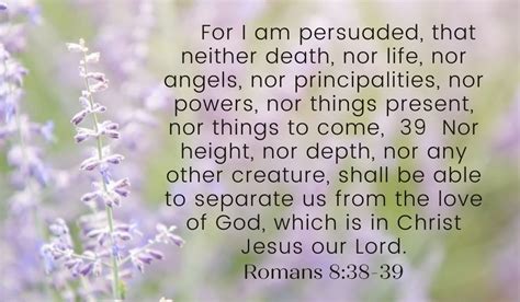 Romans 8 Kjv