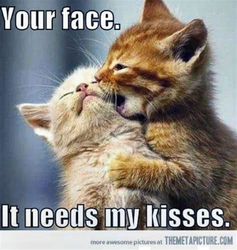 romantic cheek kisses images funny face