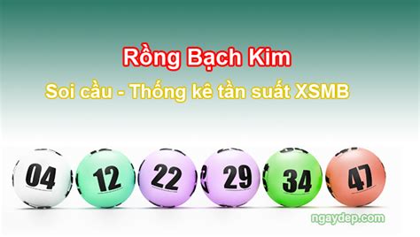 rong.bach kim | rong bach kim datagovvn
