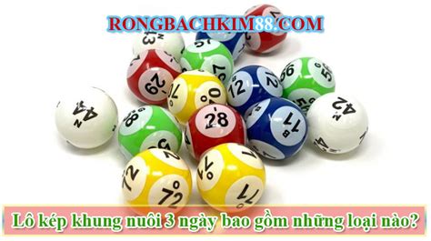 rongbachkim.com 88 | rongbachkimnet