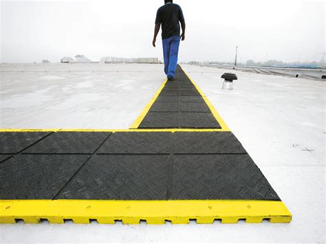 Read Online Roofwalker 