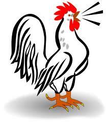 rooster artinya