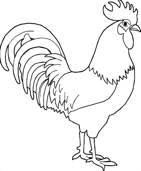 rooster coloring