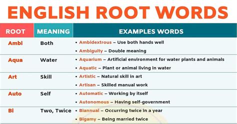 root in english