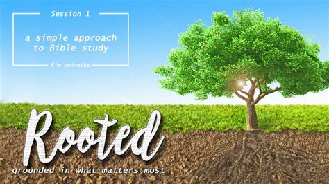 rooted bible study reviews