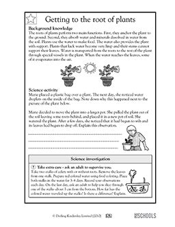 Roots Of Plants 5th Grade Science Worksheet Greatschools Worksheet On Plant 5th Grade - Worksheet On Plant 5th Grade