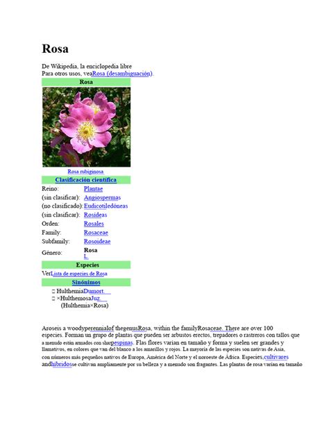 Rosa De Feugo Pdf