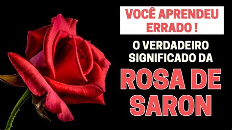 Rosa De Saron O Que Significa