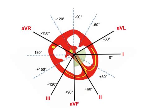 Rosa Dos Ventos Ecg