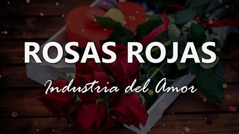 Rosas Rojas Letra