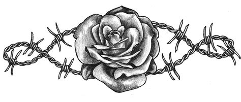 rose and barbed wire by DisturbedHJS on DeviantArt