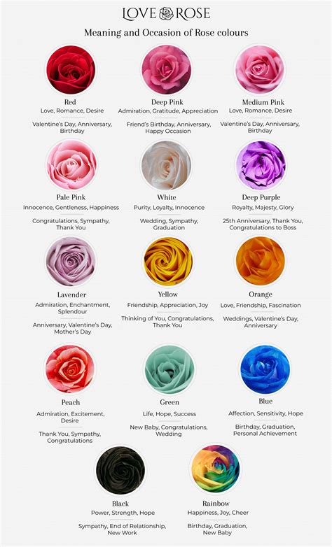 Rose Color Meanings Chart