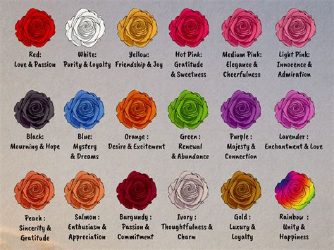 rose colors